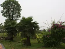 视野开阔无遮挡,两梯两户,有独立入户空间,隐私好