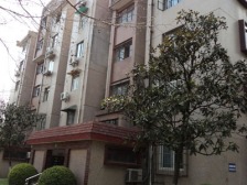 同济新村2室南朝向500.00万元/套出售