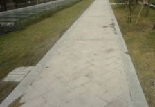 南桥新天地 3室2厅 南