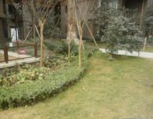 南桥新天地 3室2厅 南