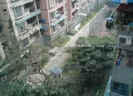 龙田西路小区