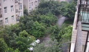 府河菁华4室2厅东