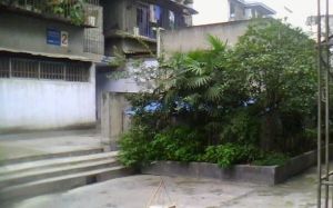 白鹤小区3室2厅西南