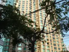 南北通大3房,诚意出售,日月光田子坊旁,高品质小区