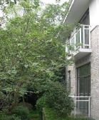 青城风景 2室1厅 东 西