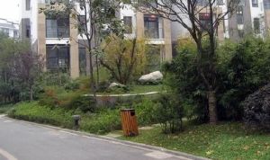 水都豪庭 6室2厅 东南