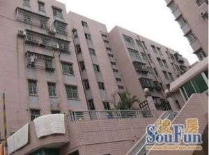 新口岸花园3室1厅南