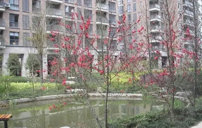 三里新城