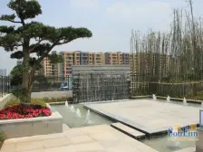 龙洲湾 公园旁 装修3房 家具家电齐全 人车分流小区