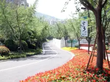 学府路 天景雨山前二房118万