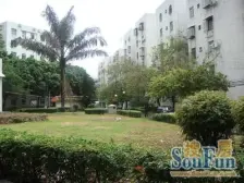 新竹小区 南北通透,采光好 周边匹套完善,,出行方便