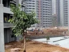 东部新城 锦江半岛三房63.8万