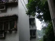 敦厚下段 138号 2室1厅 东南