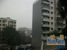 双凤路小区 3室2厅 南