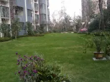 中间楼层采光,诚心出售,万科品质小区