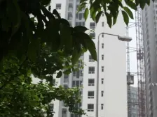视野广阔,正看动物园,实得面积大,yang中
