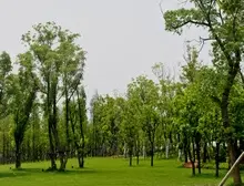 独门独院,私家湖景宅邸,尊享秀美庄园,共品异国文化