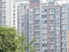 中式类独栋,赠送1000平米,业主诚心出售