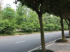 城南新区 学堂堡小区四房