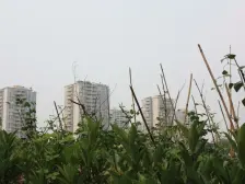 学府小区 4室2厅 东南