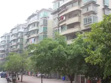 城南新区 缙观苑四房100万