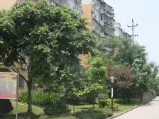 18号线李家沱大桥轻轨站次新小区三房小区环境干净漂亮