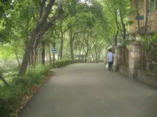 公园里 带花园 住家安静 精装三房