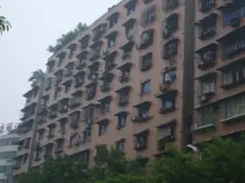 原野大厦 1室2厅 东