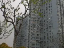 电梯景观楼层,采光视野好,随时看