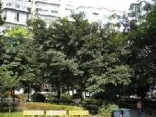 老城区 农行家属院(璧铜路)三房27.5万