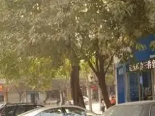 名豪街36号 3室2厅 东北
