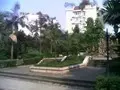 紫荆花园步行房,价格便宜户型采光好