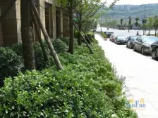 西区 聚义香城故事二房85万