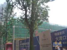 步行街 新天泽国际广场三房106万