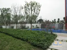 西区 泽科港城国际四房133万