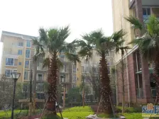 城北新区 金鼎龙泉A区三房110万