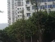 大石坝 石油大庆村D区二房40万