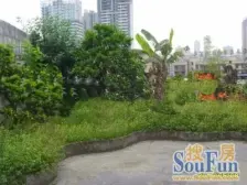 花卉园 花卉园西路三房73万