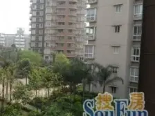 花卉园 黄金堡小居四房74万