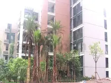 小龙坎 黄桷湾二房46.3万