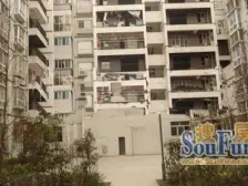 老城区 吉旺东福宏洲二期三房55万
