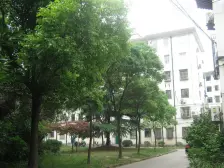 小区中间位置安静高区非顶楼双南采光好诚心出售可谈价