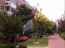 天安花园 电梯大三房 户型好 双阳台