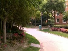 天安花园电梯洋房,顶层复式,精致装修可拎包入住