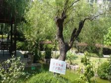 中环内品质花园式小区,地铁口,前滩商圈,商交便利