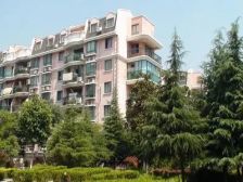 杨思前滩+新上园林小区+中间楼层+不临街+诚意出售!