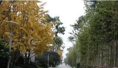新东福花园别墅