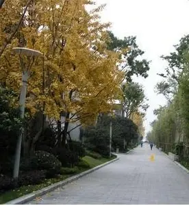 新东福花园别墅