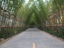 一线临河大联排别墅,大露台,视野这边独美~近地铁站