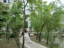 阳光嘉园,小面积,有装修,电梯直达,拎包住